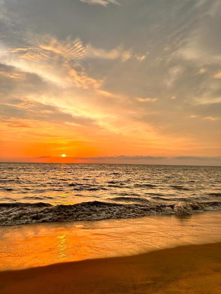 Enocean Homestay Cherai Beach Extérieur photo
