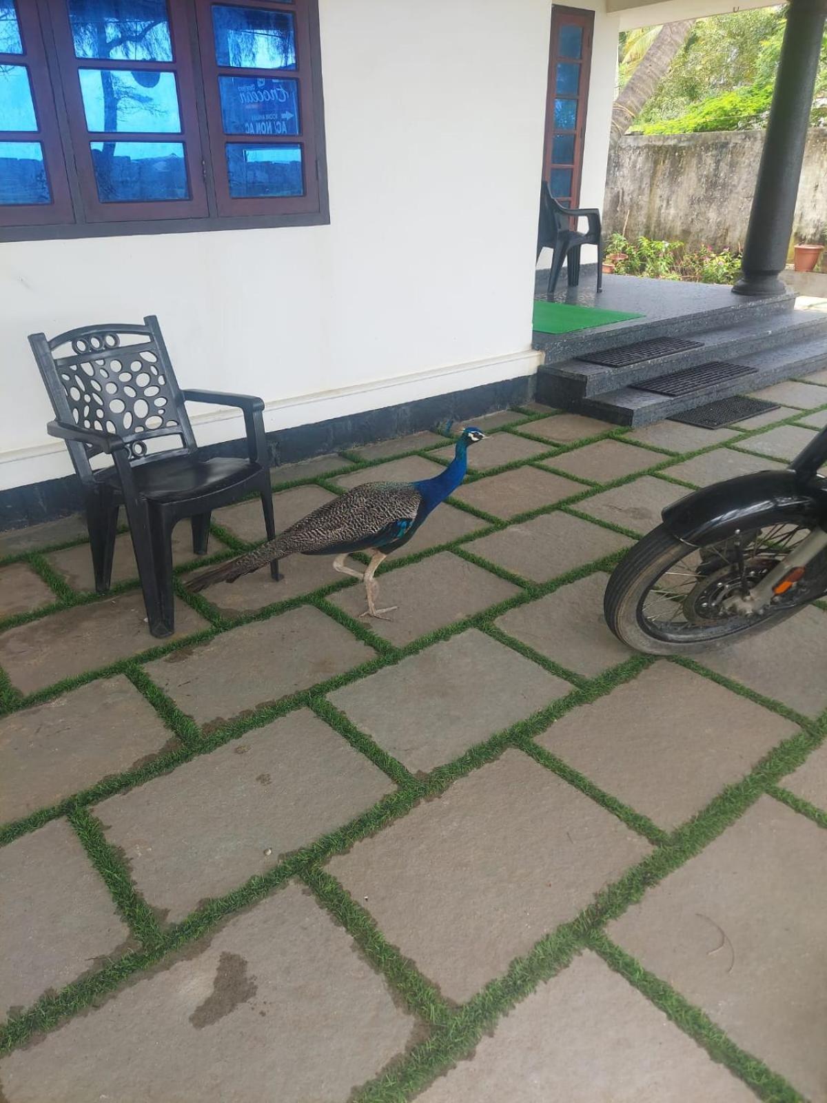Enocean Homestay Cherai Beach Extérieur photo